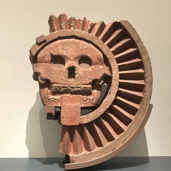 Meet your Posher, Sunny - Picture 6 of 7